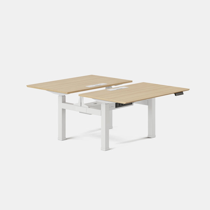Double Standing Desk